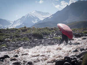 The Argentinian Andes