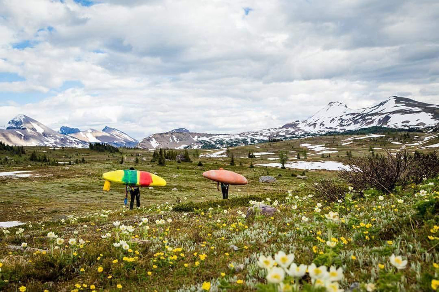 Simpson Valley | Canada – Immersion Research