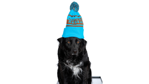 Black dog wearing Immersion Research Jacquard Beanie