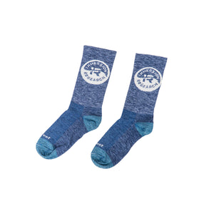 Blue Agave Immersion Research Wool Blend Socks
